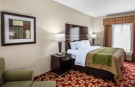 Zimmer Comfort Inn and Suites Griffin