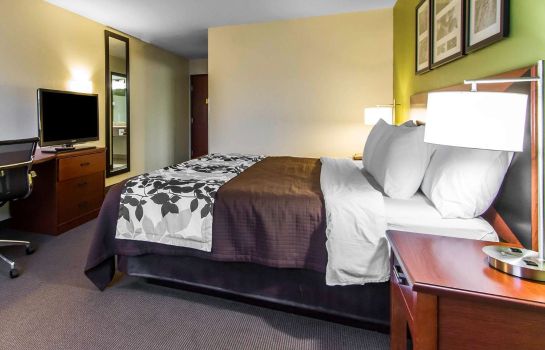 Zimmer Sleep Inn and Suites Pleasant Hill - Des