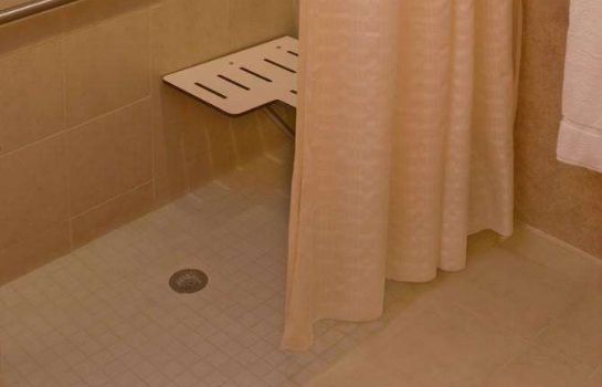 Hilton Garden Inn Dfw Airport South Irving Great Prices At