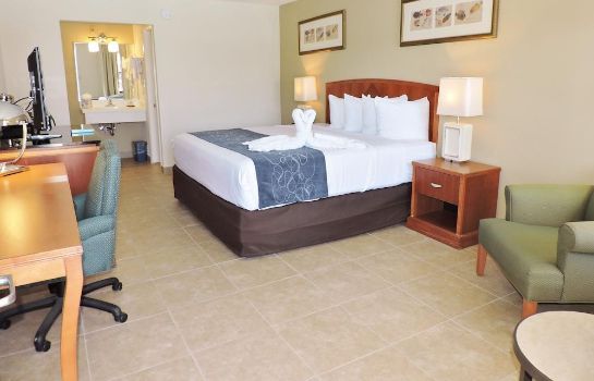 Standard room Seasons Florida Resort