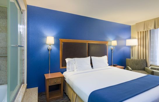 Suite Holiday Inn Express NEW YORK CITY - CHELSEA