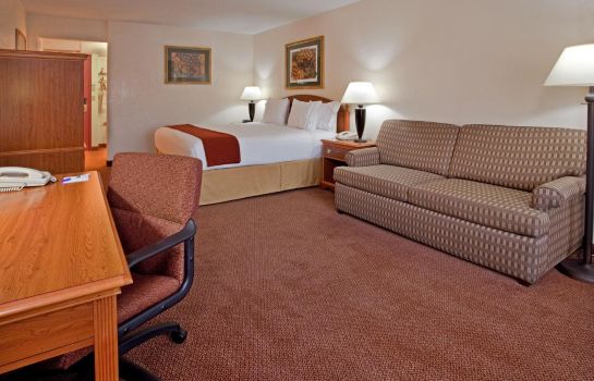 Suite Holiday Inn Express EL PASO - DOWNTOWN