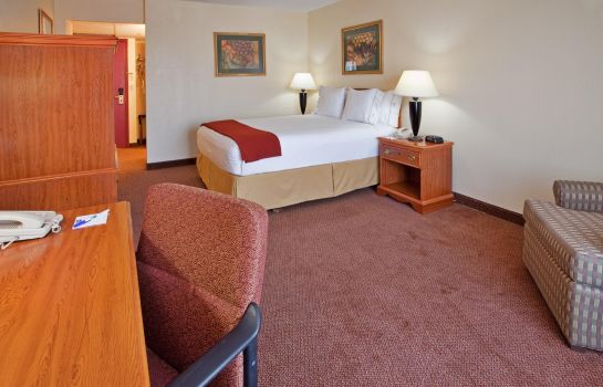 Zimmer Holiday Inn Express EL PASO - DOWNTOWN