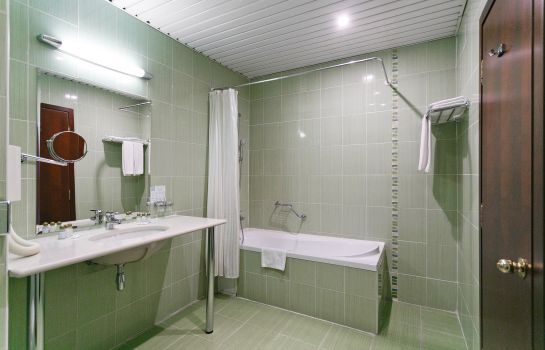 Bathroom Borodino Hotel