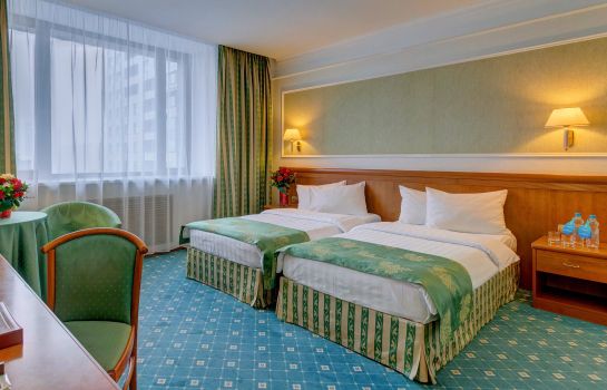 Single room (standard) Borodino Hotel