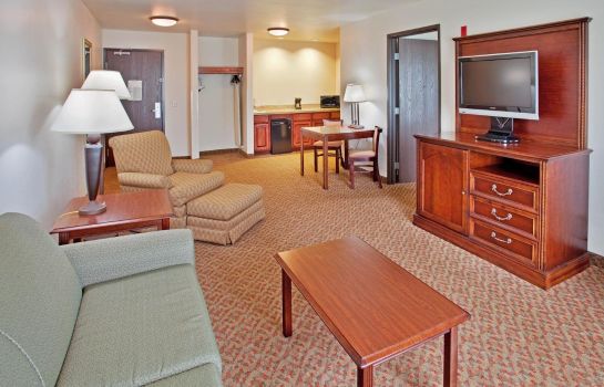 Suite Holiday Inn Express & Suites CHERRY HILLS