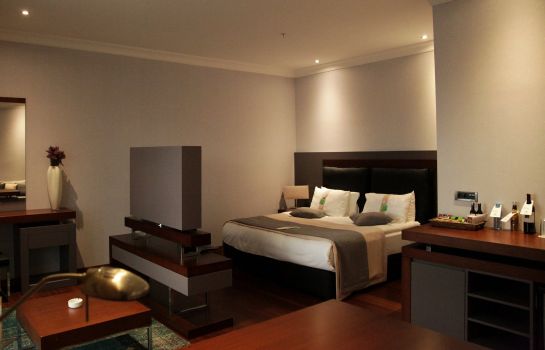 Holiday Inn Istanbul Airport Great Prices At Hotel Info
