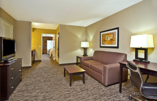 Suite Holiday Inn & Suites GREEN BAY STADIUM