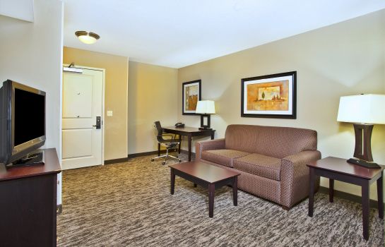Suite Holiday Inn & Suites GREEN BAY STADIUM