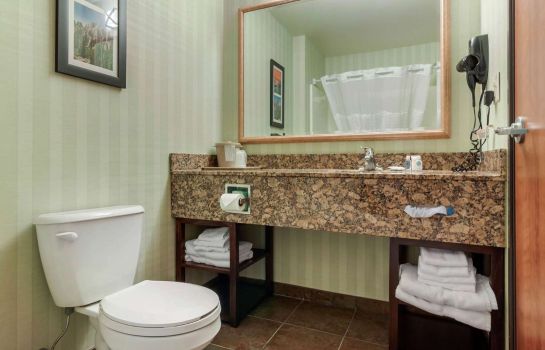 Chambre Comfort Inn and Suites