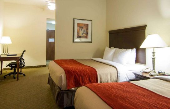 Suite Comfort Inn and Suites Airport