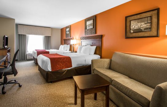 Room Comfort Suites Pelham Hoover I-65
