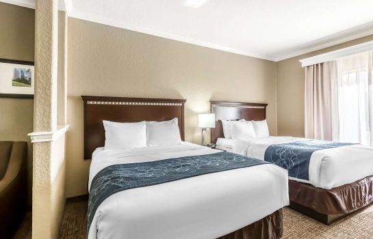 Hotel Comfort Suites Houston Iah Airport Bel Great Prices At