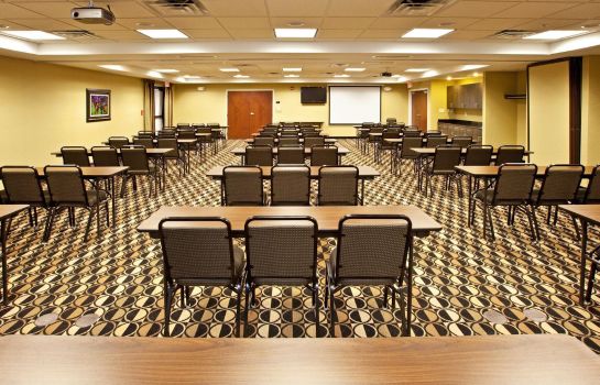 Conference room Holiday Inn Express INDIANAPOLIS - SOUTHEAST
