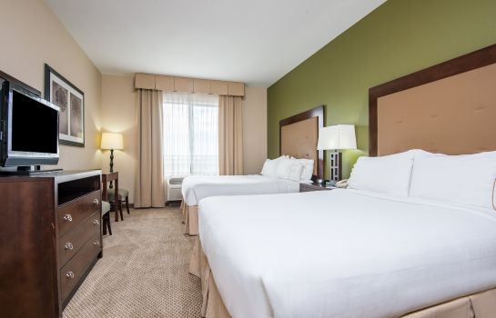 Zimmer Holiday Inn Express & Suites PHOENIX - GLENDALE SPORTS DIST