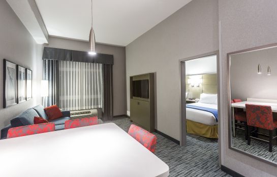 Suite Holiday Inn Express & Suites RIVERPORT RICHMOND
