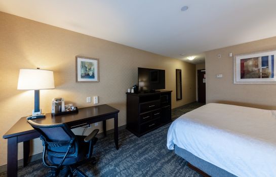 Zimmer Holiday Inn Express & Suites RIVERPORT RICHMOND
