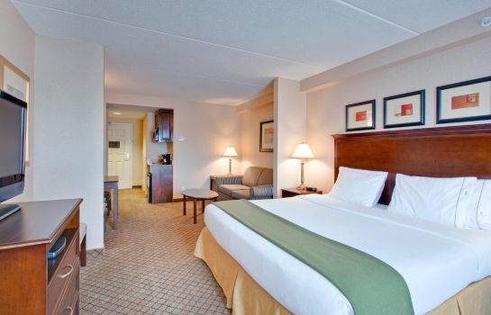 Suite Holiday Inn Express & Suites HUNTSVILLE - MUSKOKA