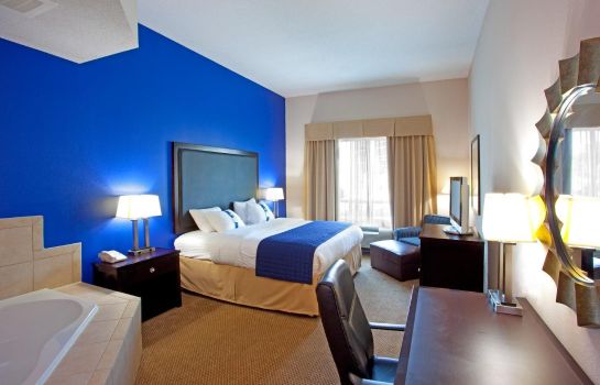 Suite Holiday Inn MANASSAS - BATTLEFIELD