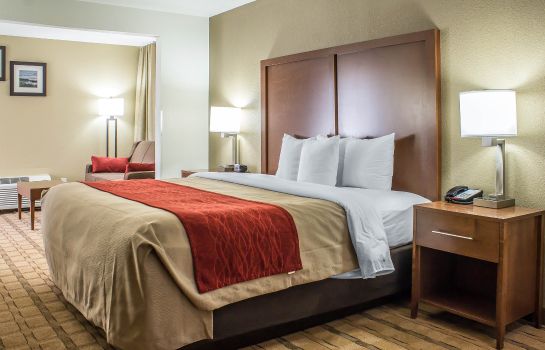 Suite Comfort Inn and Suites Cedar Rapids Nort