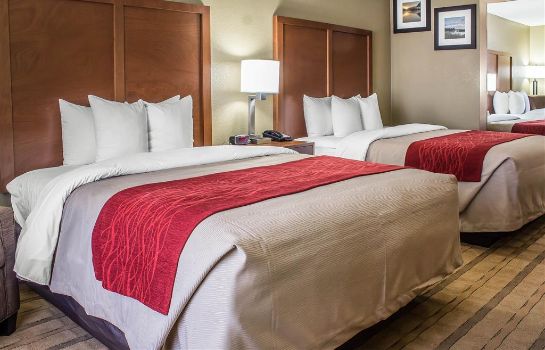 Zimmer Comfort Inn and Suites Cedar Rapids Nort