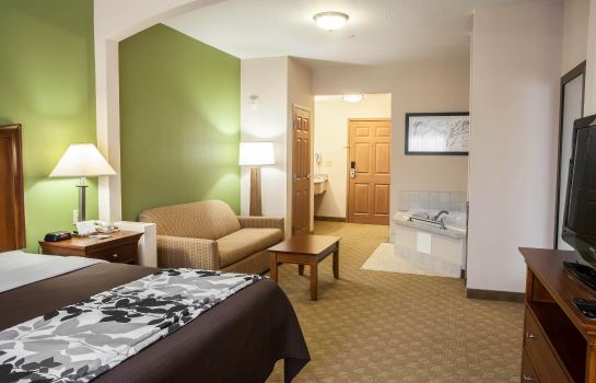 Suite Sleep Inn and Suites Gettysburg