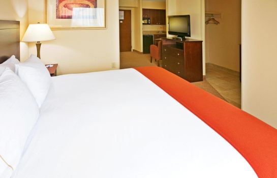 Room Holiday Inn Express & Suites IRVING CONV CTR - LAS COLINAS