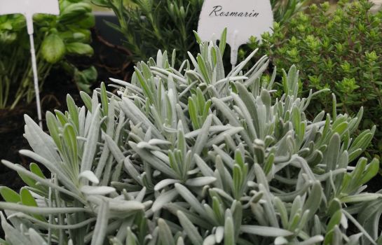 Hotel Sonnenhof Perl Great Prices At Hotel Info