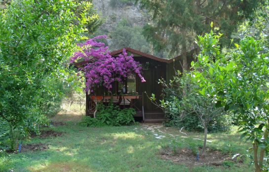 Kibala Hotel Olimpos Great Prices At Hotel Info