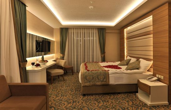 Doppelzimmer Standard Convention Center Çam Thermal Resort & Spa