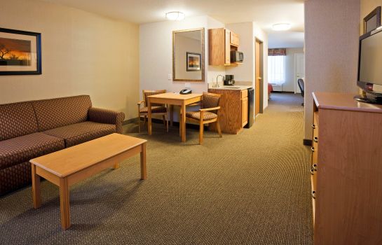 Suite Holiday Inn Express & Suites CUSTER