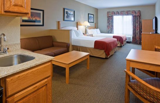 Suite Holiday Inn Express & Suites CUSTER