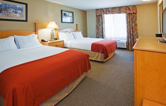 Zimmer Holiday Inn Express & Suites CUSTER