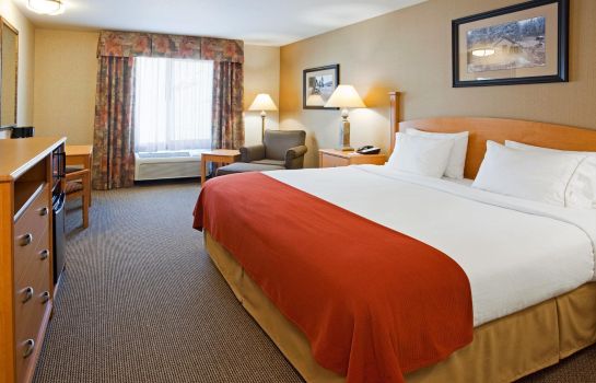Zimmer Holiday Inn Express & Suites CUSTER