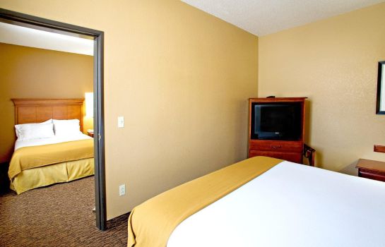 Suite Holiday Inn Express & Suites SAN ANTONIO-DTWN MARKET AREA