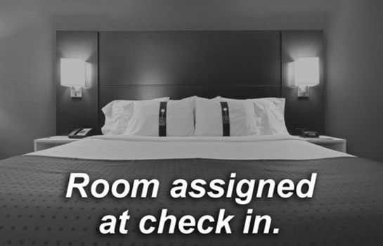 Zimmer Holiday Inn Express & Suites SAN ANTONIO-DTWN MARKET AREA