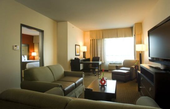 Zimmer Holiday Inn DALLAS-FORT WORTH AIRPORT S