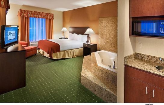 Suite Holiday Inn Express & Suites RENO AIRPORT