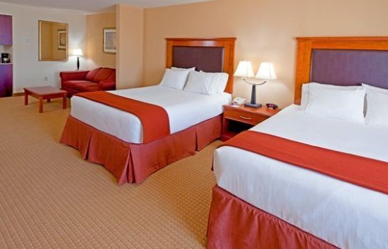 Suite Holiday Inn Express & Suites ALBANY AIRPORT AREA - LATHAM