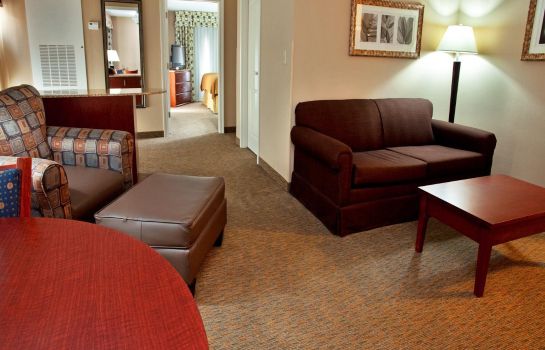 Suite Holiday Inn Express & Suites BATON ROUGE EAST