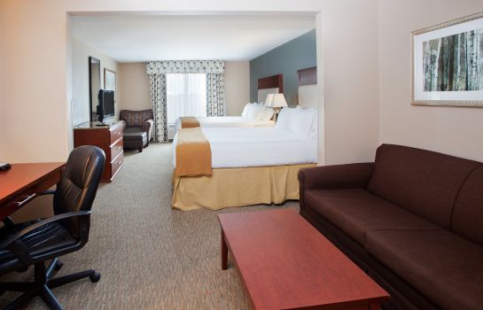 Zimmer Holiday Inn Express & Suites BATON ROUGE EAST