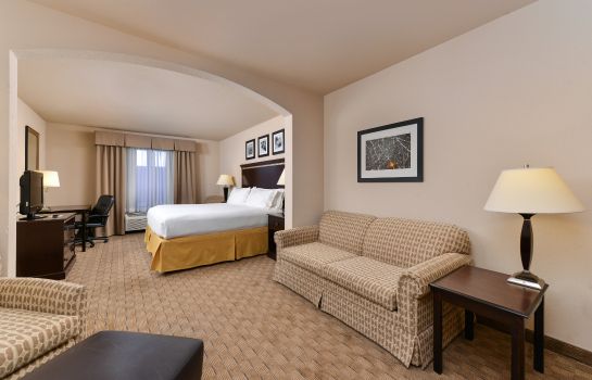 Suite Holiday Inn Express & Suites ALBUQUERQUE HISTORIC OLD TOWN