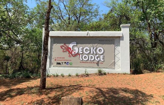 Info Gecko Lodge