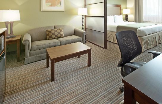 Suite Holiday Inn Express & Suites FORT WORTH DOWNTOWN