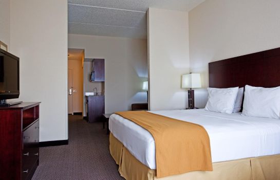 Suite Holiday Inn Express & Suites CHICAGO WEST-O'HARE ARPT AREA