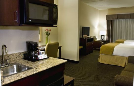 Suite Holiday Inn Express & Suites CHICAGO WEST-O'HARE ARPT AREA
