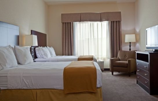 Room Holiday Inn Express & Suites CHICAGO WEST-O'HARE ARPT AREA
