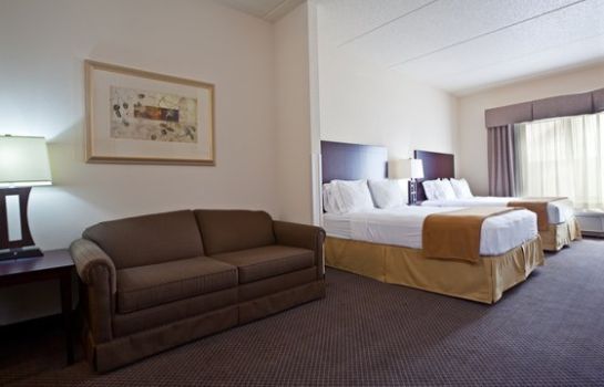 Room Holiday Inn Express & Suites CHICAGO WEST-O'HARE ARPT AREA