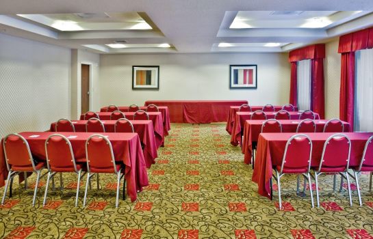 Sala de reuniones Holiday Inn Express & Suites ORLANDO SOUTH-DAVENPORT