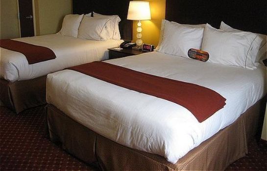 Room Holiday Inn Express & Suites ORLANDO SOUTH-DAVENPORT